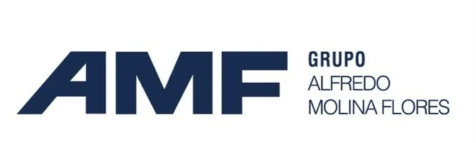 Grupo AMF Alfredo Molina Flores